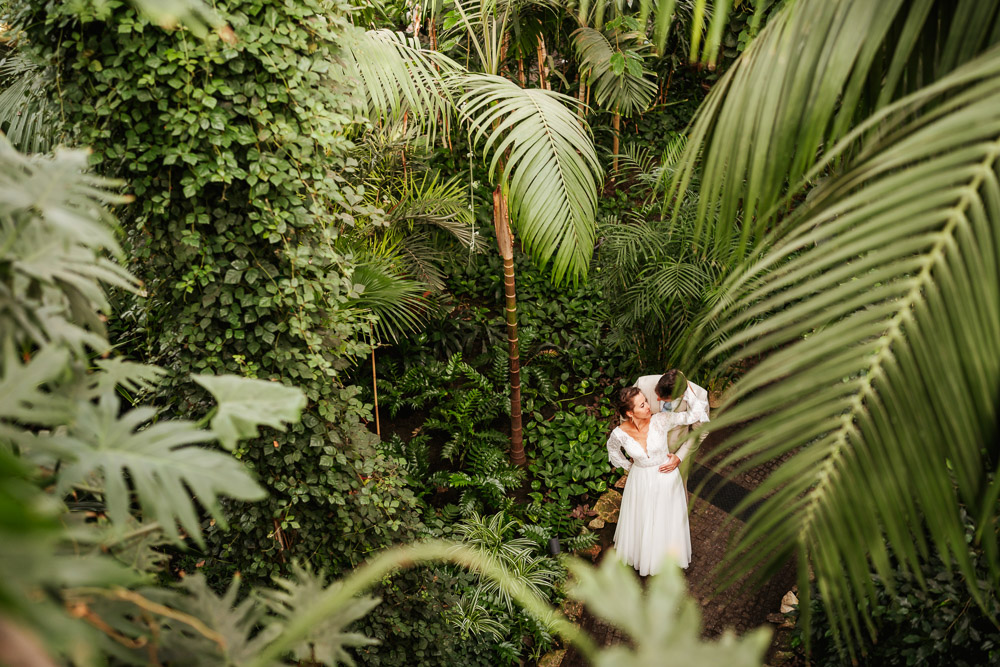 Sesja ślubna w palmiarni